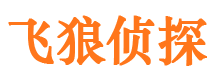 城子河外遇出轨调查取证